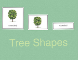 Tree Shapes • Three Part Cards • Digital Montessori • Flash Cards
