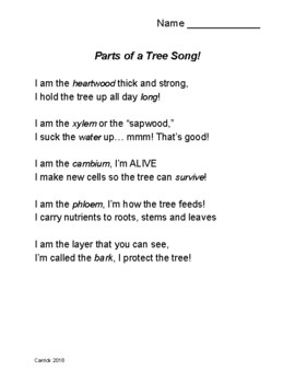 Preview of Tree Song and Worksheet