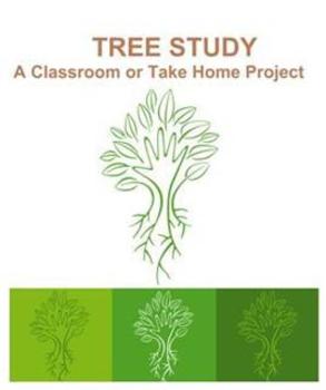 Preview of Tree Study: A Classroom or Take Home Project