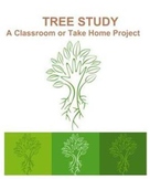 Tree Study: A Classroom or Take Home Project