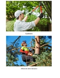 Tree Study Vocabulary Cards Investigation 4