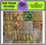 Tree Trunk Textures Photo Set {Educlips}