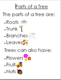 Tree Unit Notes