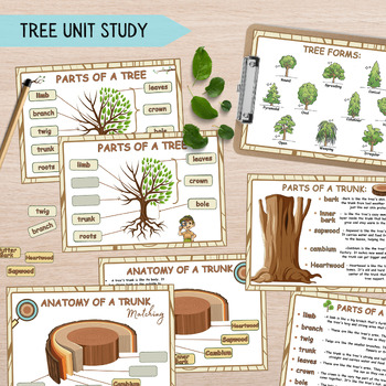 Preview of Tree Unit Study for Kids, Anatomy of a Tree & Trunk, Nature Study Learning