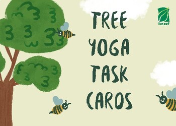 Preview of Tree Yoga Task Cards