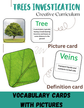 Preview of Trees Investigation Vocabulary Cards with Pictures - Creative Curriculum