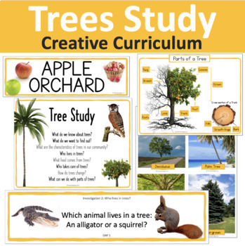 trees description creative writing