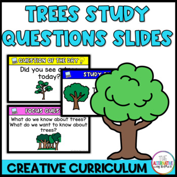 Preview of Trees Study Question Slides Curriculum Creative