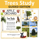 Trees Study - GUIDED (Creative Curriculum®)