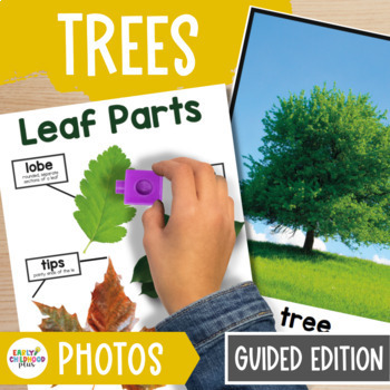 Preview of Trees Study GUIDED Edition Real Photos for The Creative Curriculum