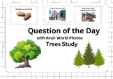 Trees Study - Question of the Day with Real Photos
