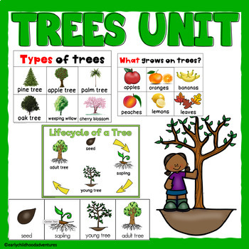 Preview of Trees Study for 3K, Pre-K, and Preschool