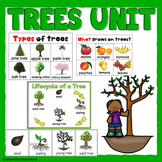 Trees Study for 3K, Pre-K, and Preschool