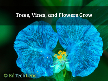 Preview of Trees, Vines, and Flowers Grow in Rainforests Distance Learning PPT