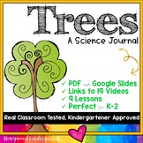 Trees ... a science journal w/ links to video clips ... ca