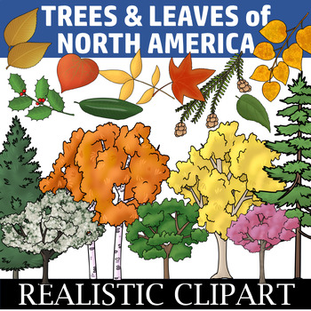 Preview of Trees and Leaves Clip Art