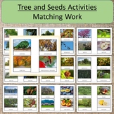 Trees and Their Seeds Cards and Booklets Only