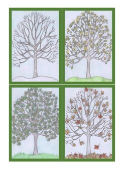 Preview of Trees in four seasons