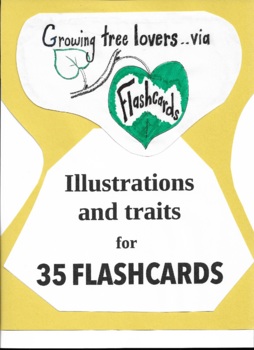 Preview of Tree Flashcards - ID and basic information - 35 Trees of Eastern USA