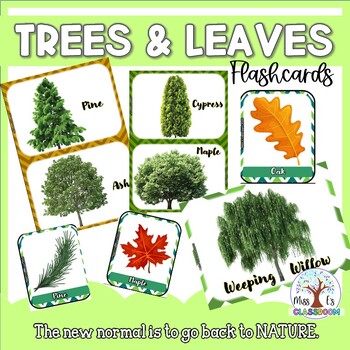 Preview of Trees & leaves science identification - Printable & Digital
