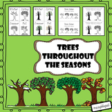 Trees throughout the year (Seasons)