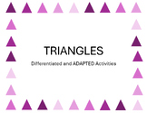 Triangle ADAPTED Activities | Special Education | Shapes |