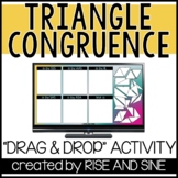 Triangle Congruence Digital Worksheet