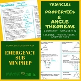 Triangles Properties & Angle Theorems Geometry Lesson + Wo