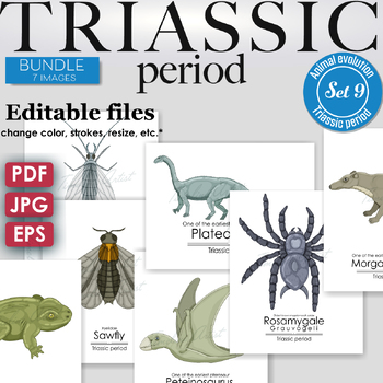 Preview of Triassic Period Colorful Bundle: the earliest mammal, dinosaur, frog, caddisfly
