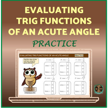 Preview of Trig Function Values of Acute Angles - Digital Practice (30 problems)