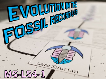Preview of NGSS Trilobite Evolution Through the Fossil Record Lab MS-LS4-1