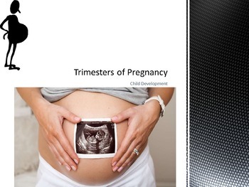 Preview of Trimesters of Pregnancy Power Point