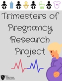 Trimesters of Pregnancy Research Project