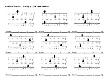 Triple Beam Balance Worksheet by THE EARTH SCIENCE FACTORY | TpT