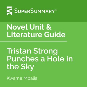 Preview of Tristan Strong Punches a Hole in the Sky Novel Unit & Literature Guide