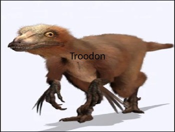 Preview of Troodon