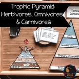 Trophic Food pyramid, herbivores, omnivores, carnivores