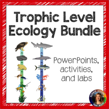 Preview of Trophic Level Bundle