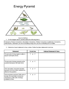 Trophic Level Energy Pyramid by JMESCIENCE | Teachers Pay Teachers