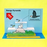 Trophic Levels Energy Pyramid Pop-Up (Land)