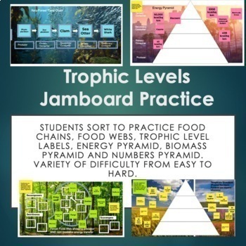 Preview of Trophic Levels Jamboard Practice: Food Chains, Food Webs and Pyramids.