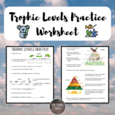 Trophic Levels Practice Worksheet