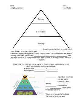 Preview of Trophic Levels and Food Web Notes