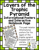 Trophic Pyramid ~ 5 Informational Posters & Interactive No