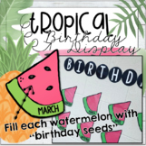 Tropical Birthday Bulletin Board  (Editable Seeds)