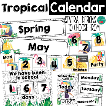 Preview of Tropical Calendar Set
