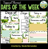 Tropical Classroom Themed Days of the Week Posters