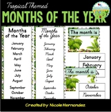 Tropical Classroom Themed Months of the Year Display Posters