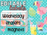 Tropical Flamingos Editable Labels | Name Tags | Mailbox |
