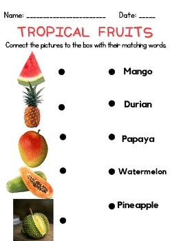 Preview of Tropical Fruits Flashcards& Match Activities